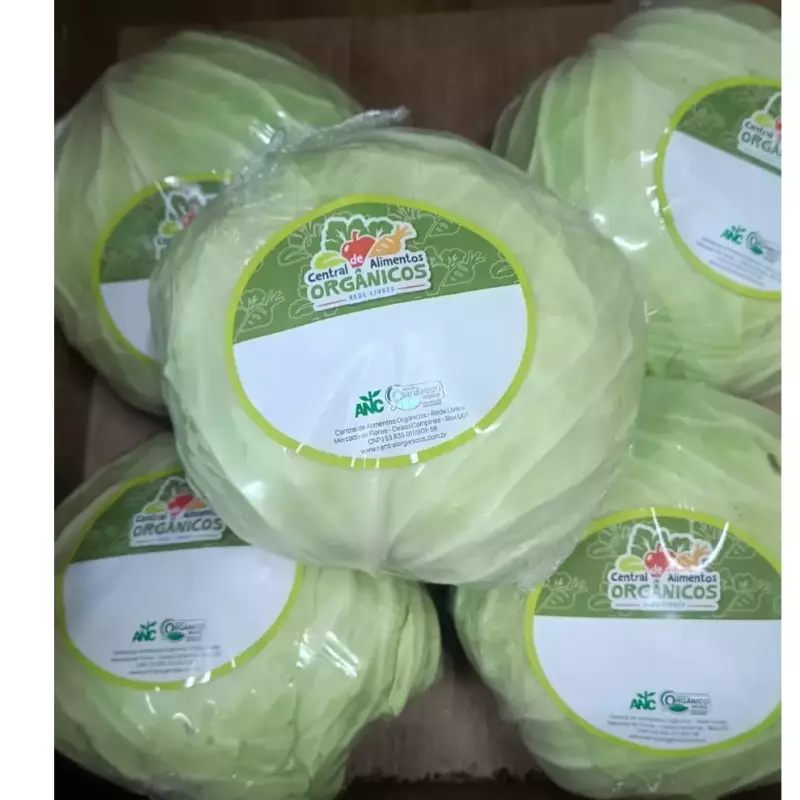 REPOLHO VERDE ORG. UN