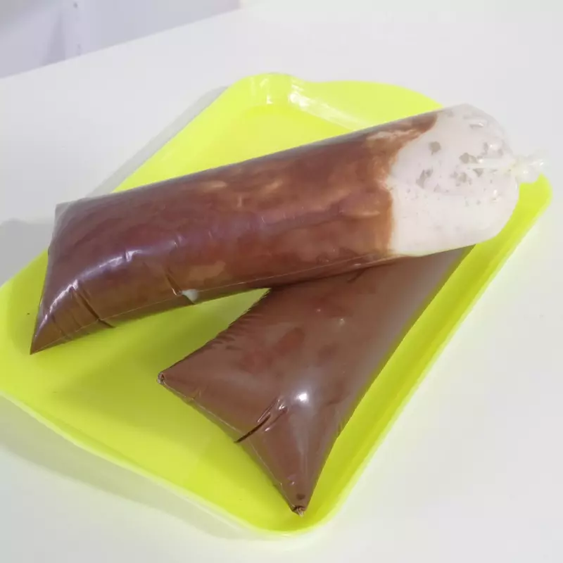 Gelado Gourmet Ninho com Chocolate