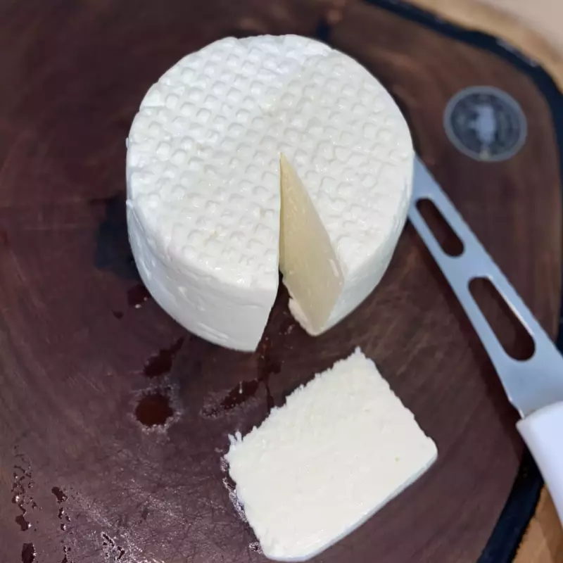 QUEIJO MINAS FRESCAL 500g