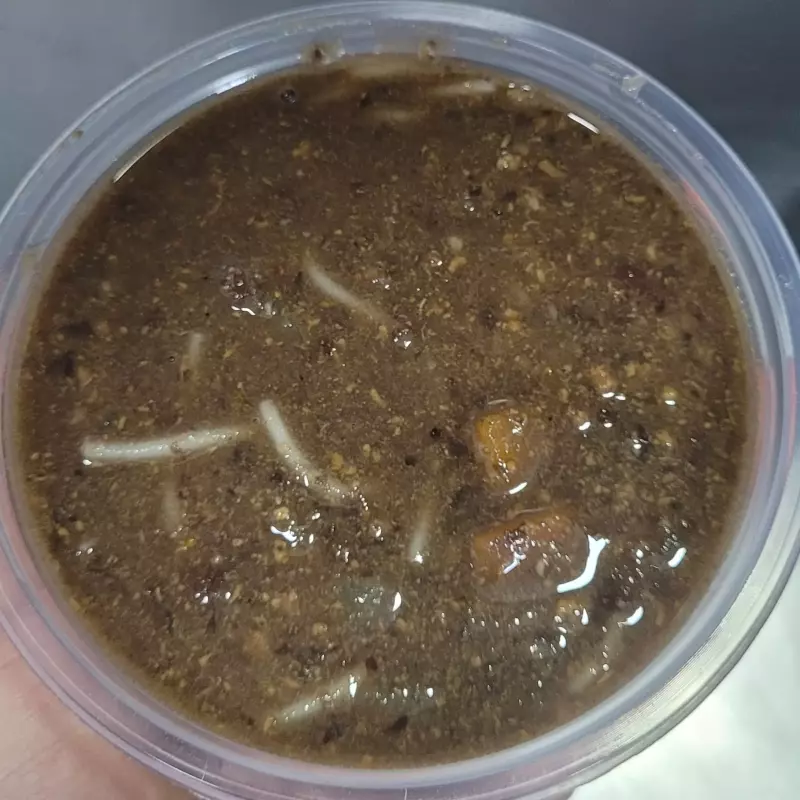 Minestra com macarrão