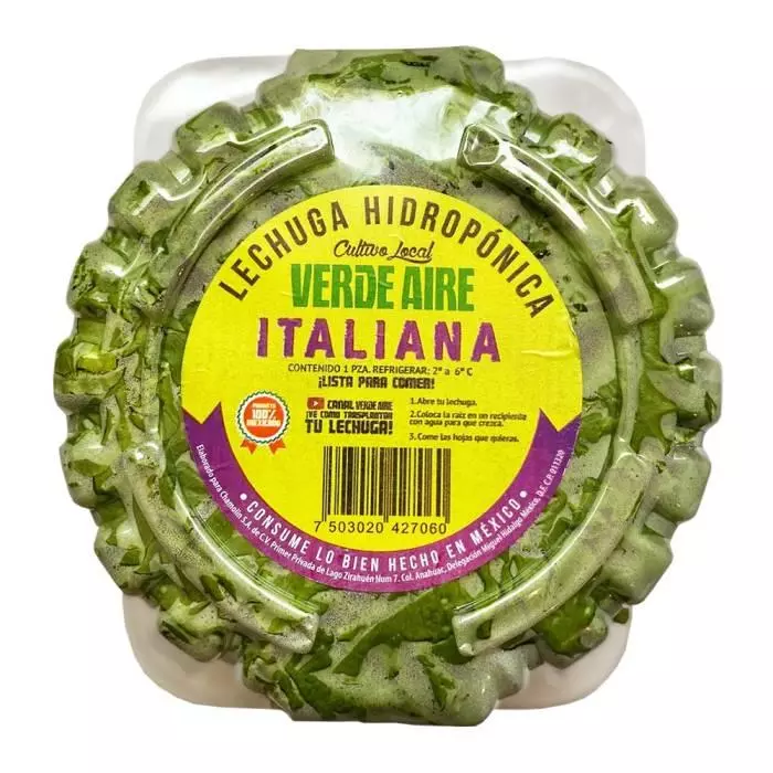 Lechuga Italiana Hidroponica