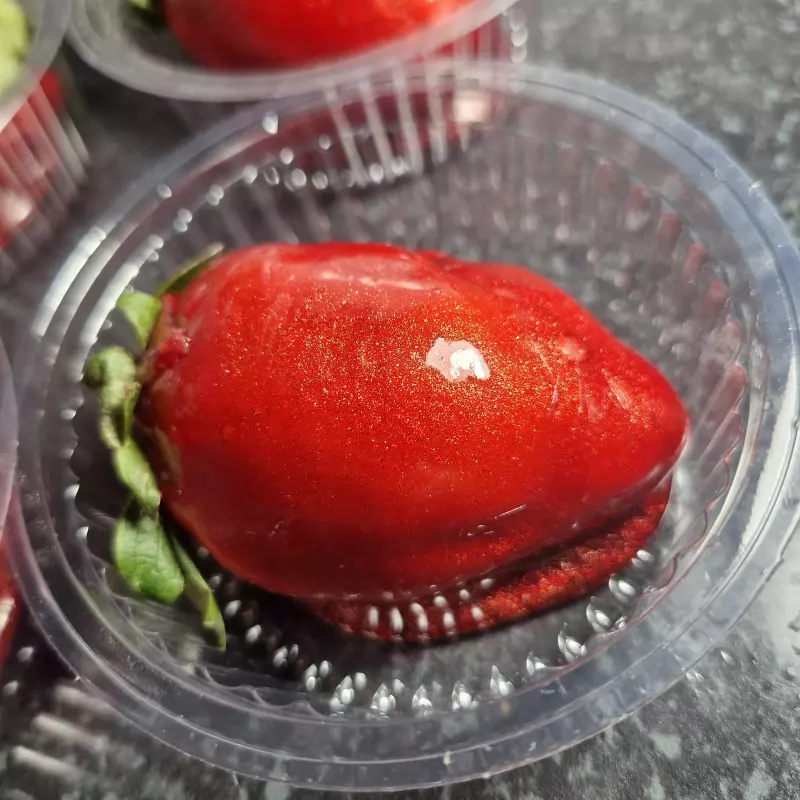 Morango 🍓 do Amor