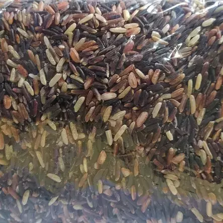 Arroz Preto Orgânico 500 g (Luiz)