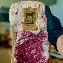 FRALDINHA BLACK ANGUS TERRAL