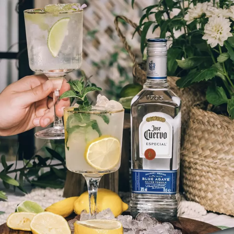 José Cuervo Blue Agave