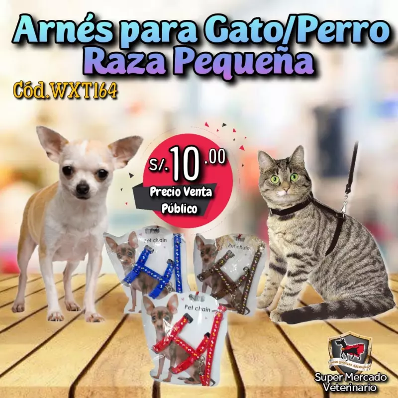 Arnés Gato/Rz. pequeña
