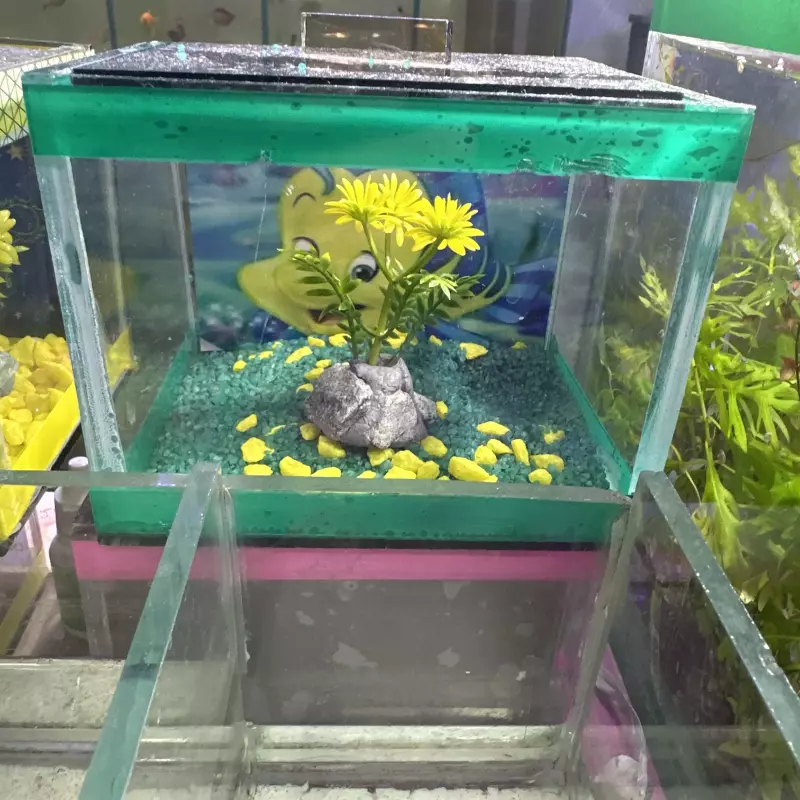 Beteira vidro retangular - Verde