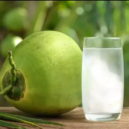 Agua de coco 500ml