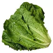 Lechuga BG