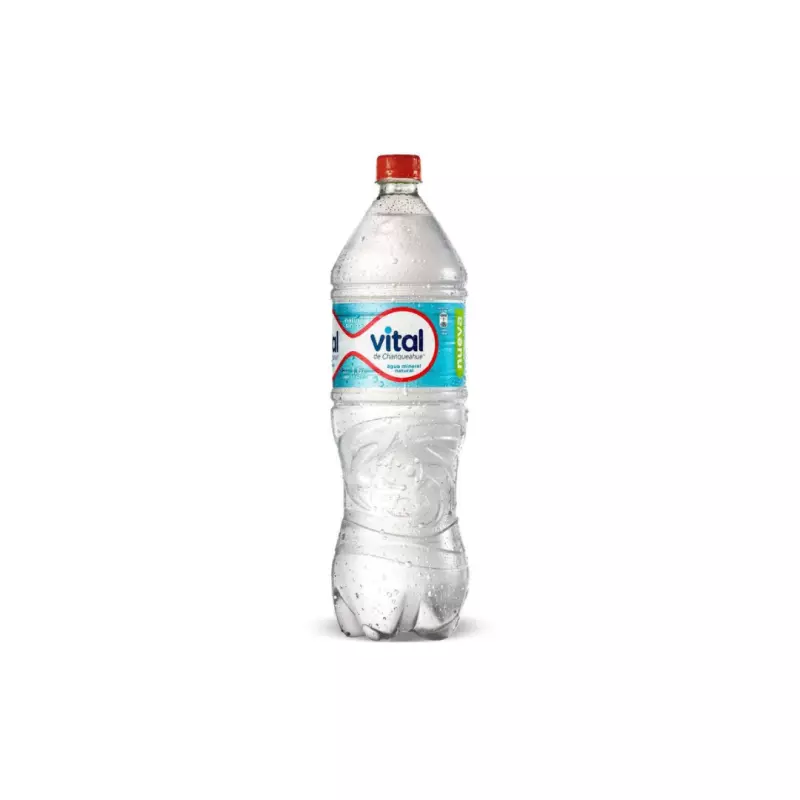 Agua Vital s/gas 2.5 Lts