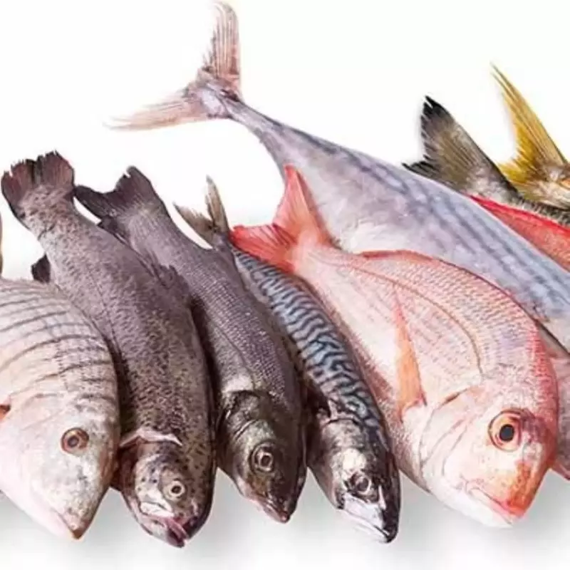 Pescado de mar 8-10lb