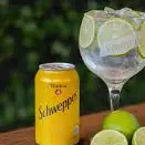 Água Tônica Lata 350ml