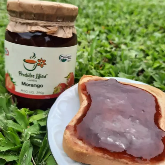 GELÉIA MORANGO 290G