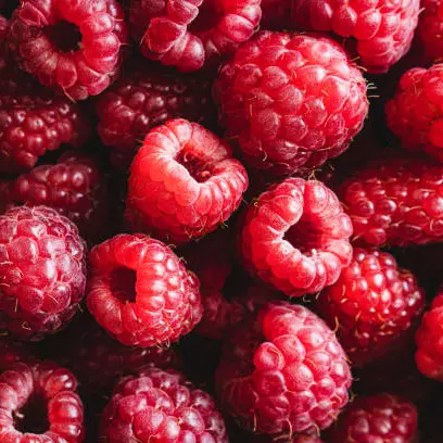 Framboesa fresca