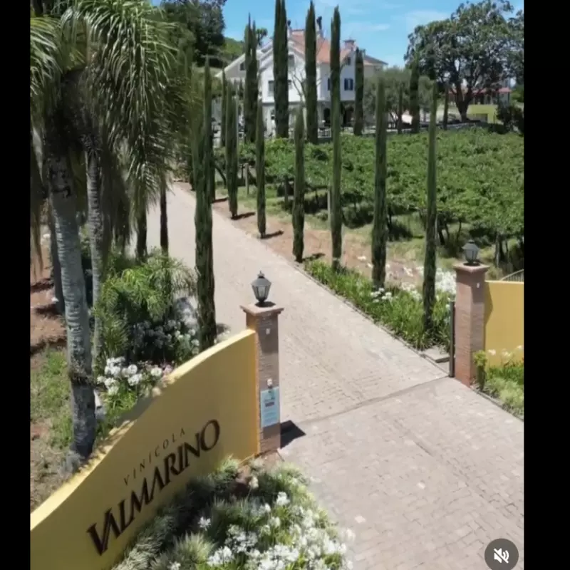 VINHO EM TAÇA - VALMARINO 200ml