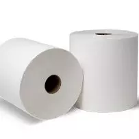 PAPEL HIGIÊNICO PACOTE 30X10CM