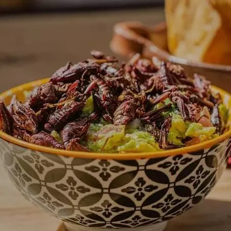 Guacamole con chapulines