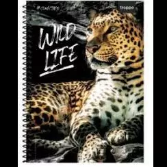 Caderno 10 Matérias - Conectado