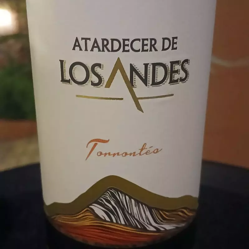 Atardecer de Los Andes - br