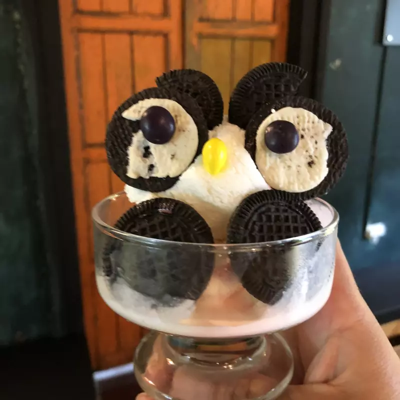 Copa búho