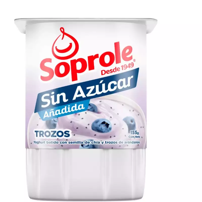 Yoghurt sin azúcar trozos arandano
