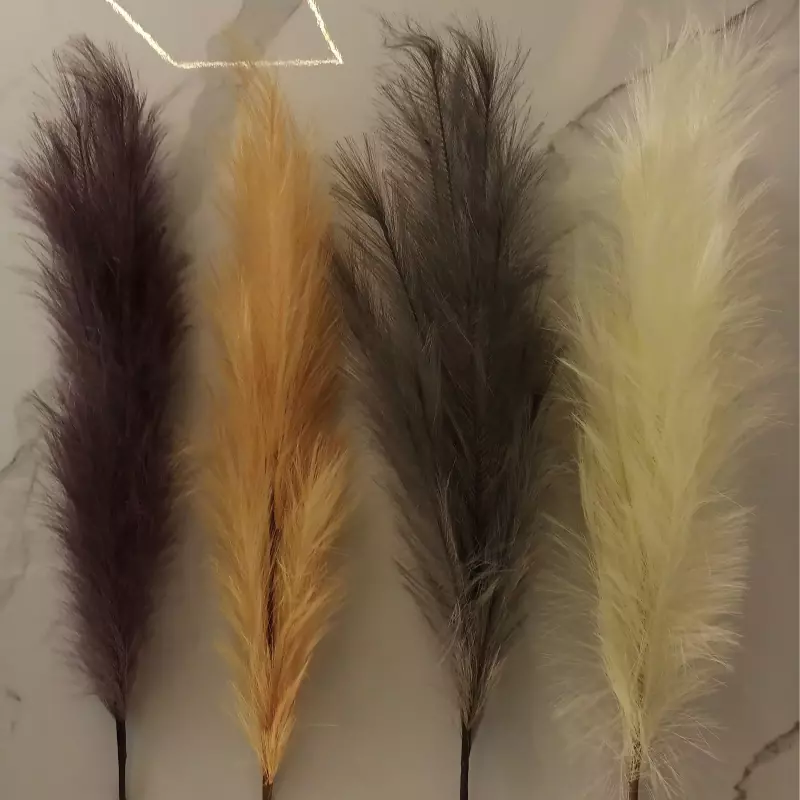 PLUMAS 262-1, 2, 3, 4