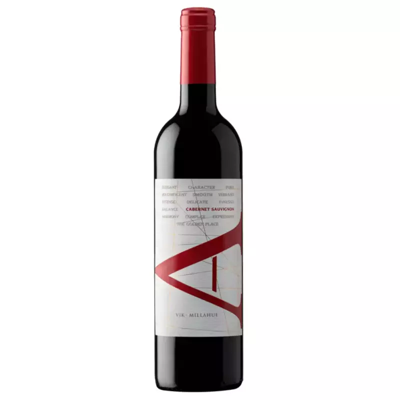 VIK A CABERNET SAUVIGNON 2022