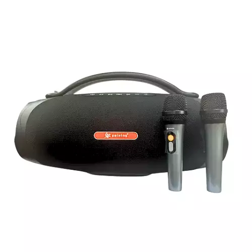 CAIXA DE SOM 300W PEINING PEI-S106