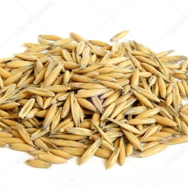 Aveia em grão - 100g