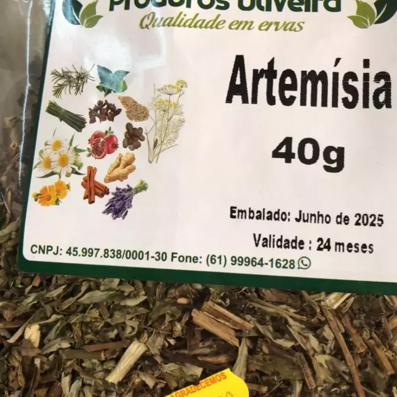 Artemisia
