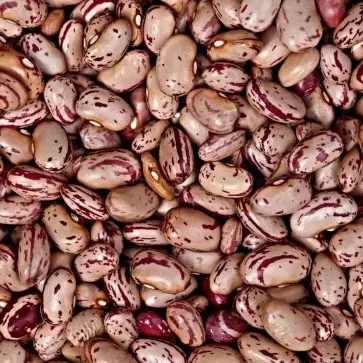 Feijão  Rajado 100g