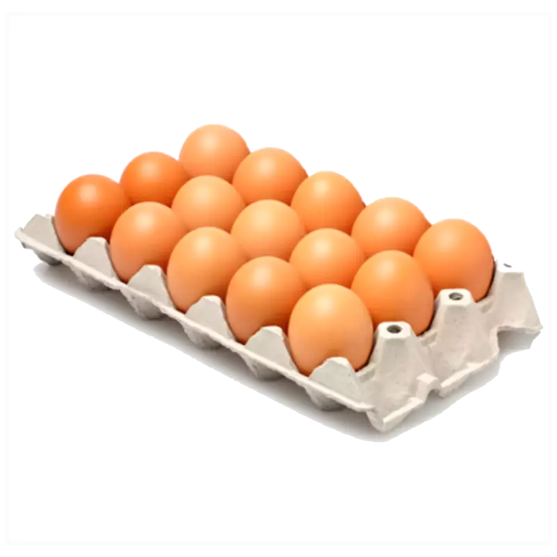 HUEVOS- MEDIA PLANCHA