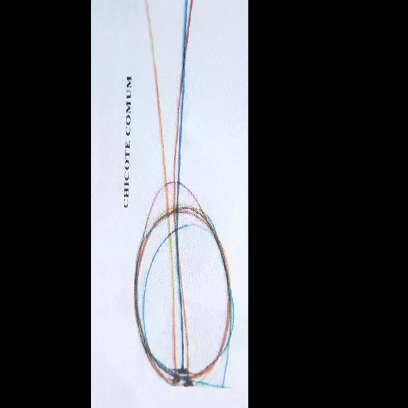 Chicote comum de nylon com 3 Haste