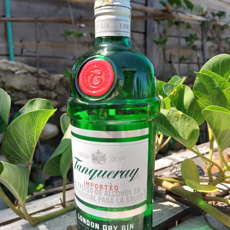 Tanqueray Gin