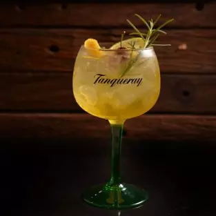 GIN TROPICAL