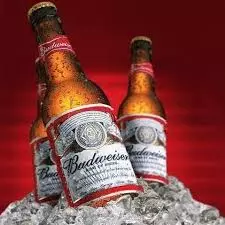 Budweiser long neck 330ml