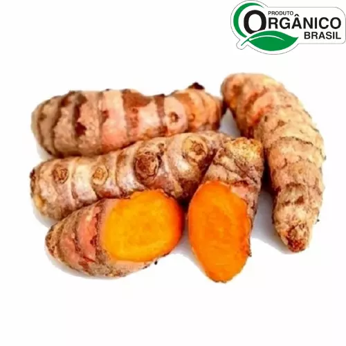 Açafrão Orgânico 50g