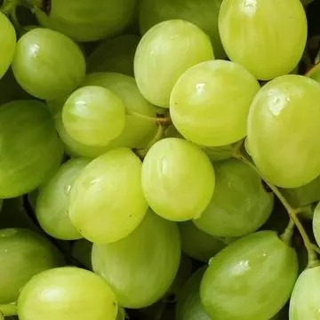 UVA VERDE 1 KILO