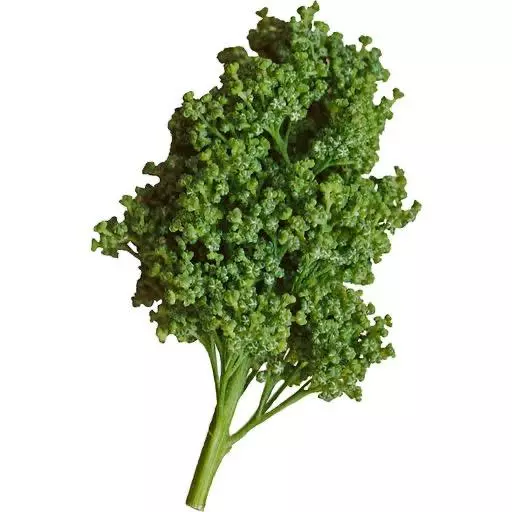 Huanzontle