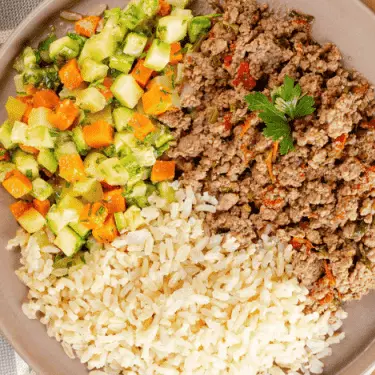 Carne moída fit