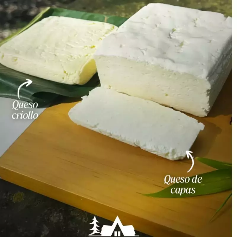 Paquete de Quesos Para Fiambre