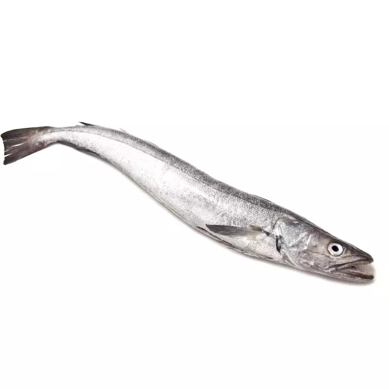Merluza