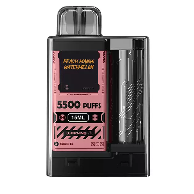 VAPEGIN 5.500
