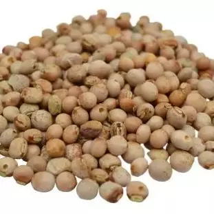 Feijão Andu Baiano - 100g