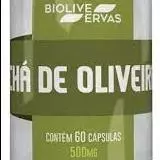 CHÁ DE OLIVEIRA - 60 CÁPS - 500 MG
