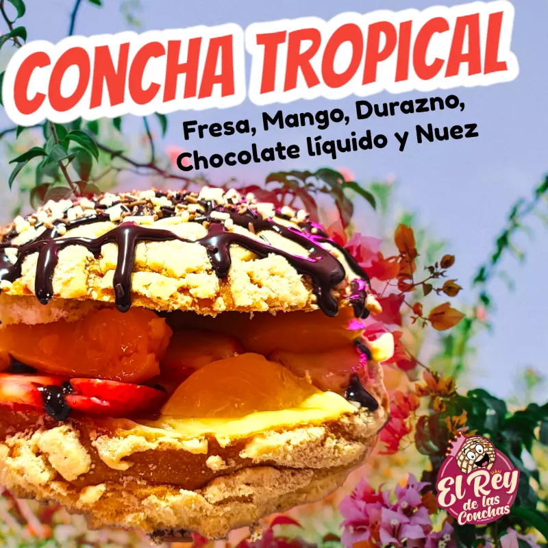 Concha Tropical