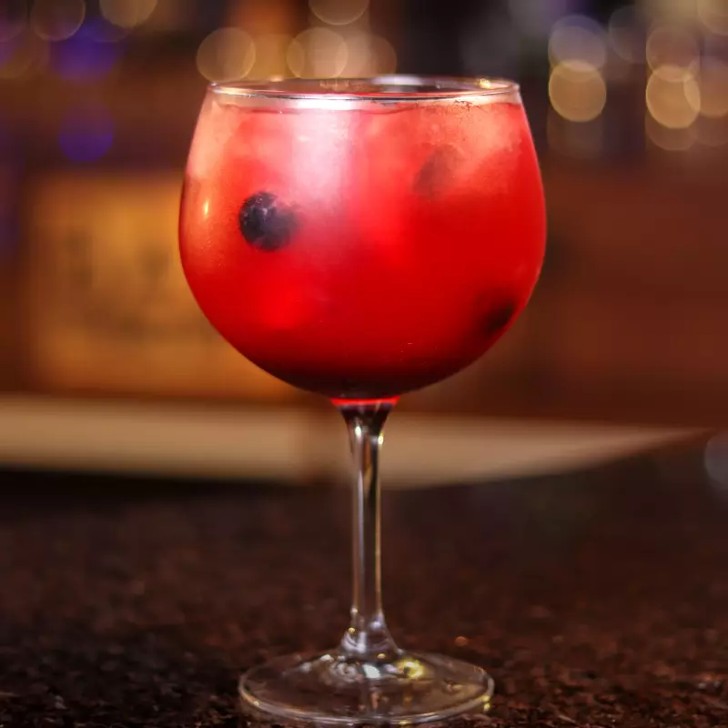 Gin de Frutos Rojos