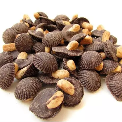 Hongo 100 Gr.