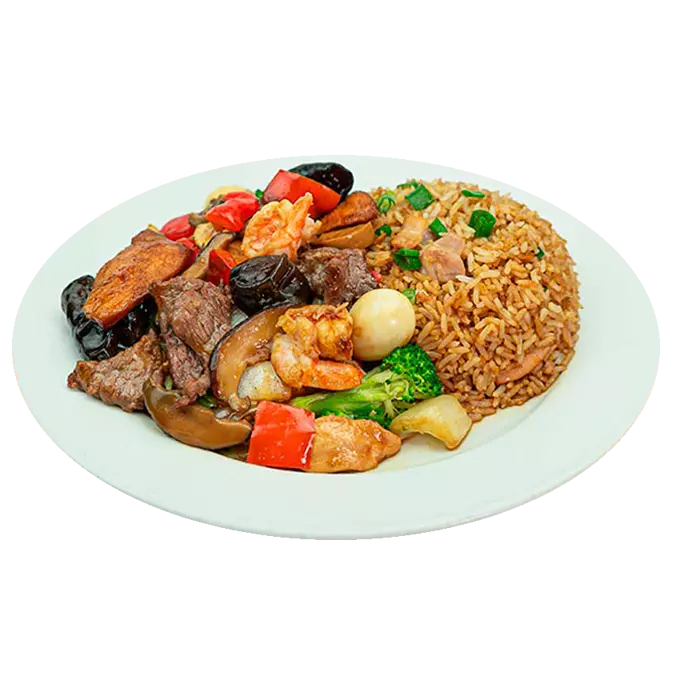 m32-Taypa saltado + Chaufa