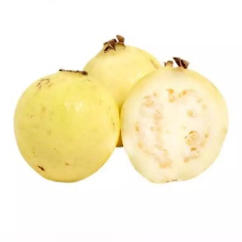Guayaba $18.00